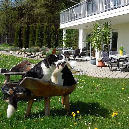 アパート Steinenberg *