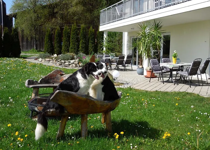 Lägenhet Steinenberg *